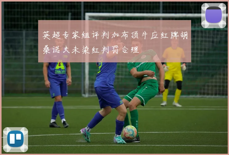 英超专家组评判加布顶牛应红牌胡桑诺夫未染红判罚合理